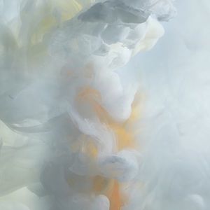 Meet your Posher, Will